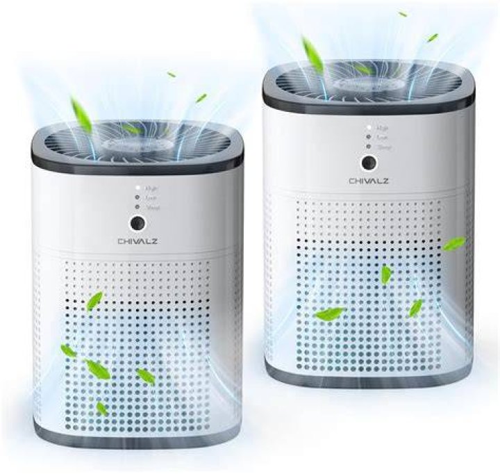 Do air purifiers remove dust from house?