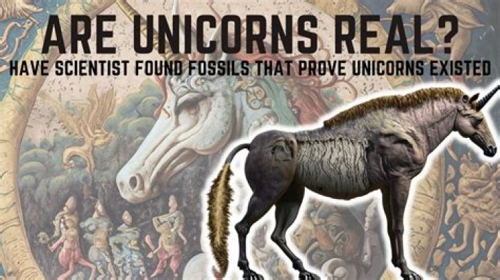 How did the unicorns get extinct?