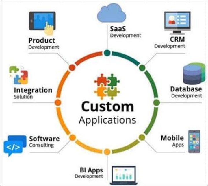 What are the examples of customized application software?
