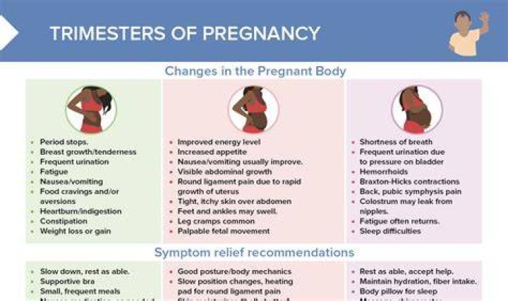 When do first trimester symptoms start?