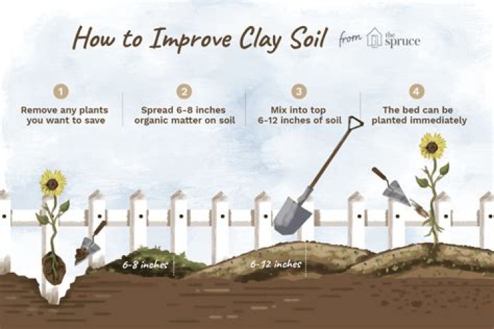 Why do I crave clay soil?
