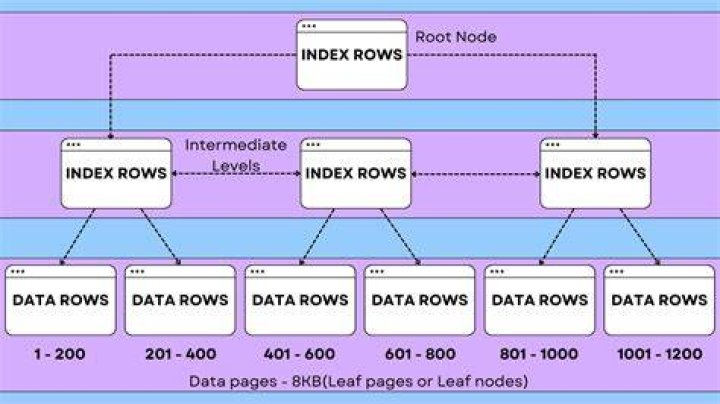 Why do we need indexes in library?